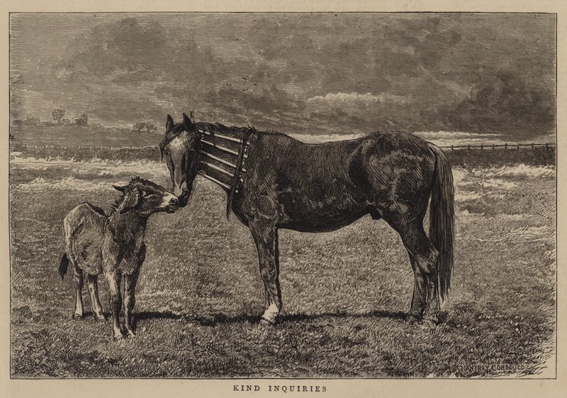 Gentilles Inquiries - Alfred Chantrey Corbould