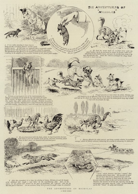 Les Aventures de Nicholas - Alfred Chantrey Corbould