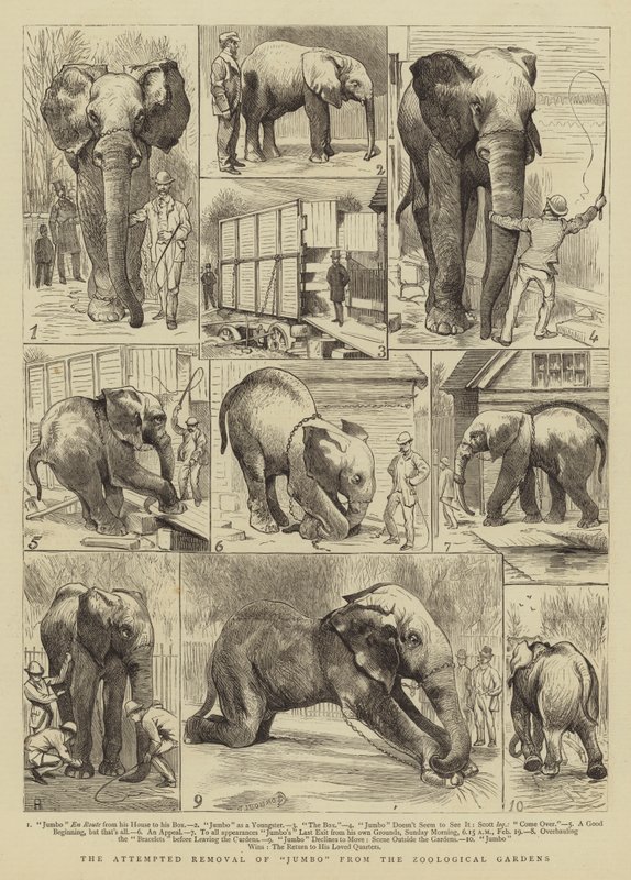 La Tentative de Retrait de Jumbo des Jardins Zoologiques - Alfred Chantrey Corbould