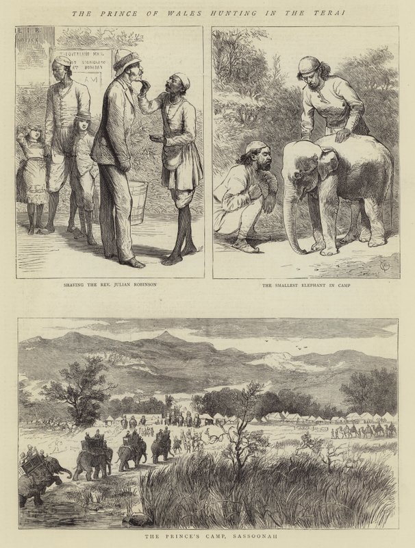 Le prince de Galles chassant dans le Terai - Alfred Chantrey Corbould