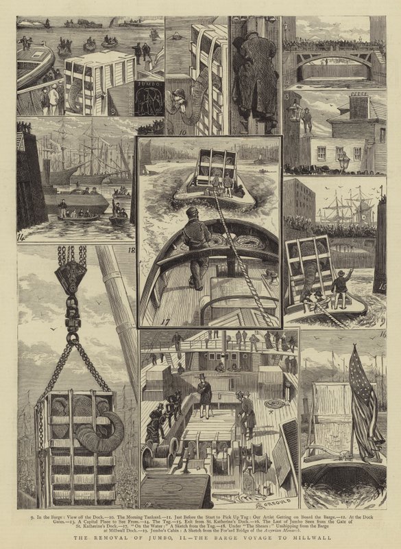 Le déménagement de Jumbo, II, le voyage en barge vers Millwall - Alfred Chantrey Corbould