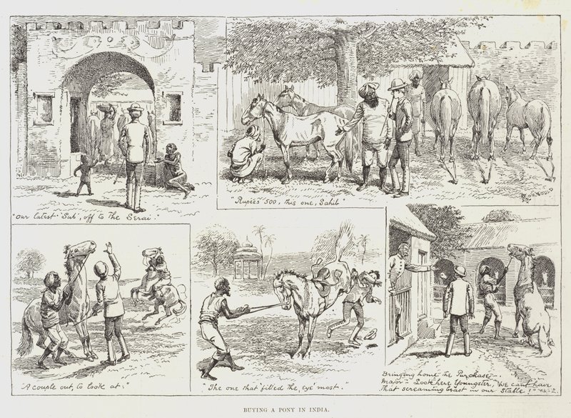 Acheter un poney en Inde - Alfred Courbould