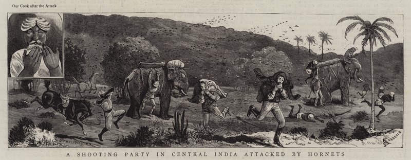 Une partie de chasse en Inde centrale attaquée par des frelons - Alfred Chantrey Corbould