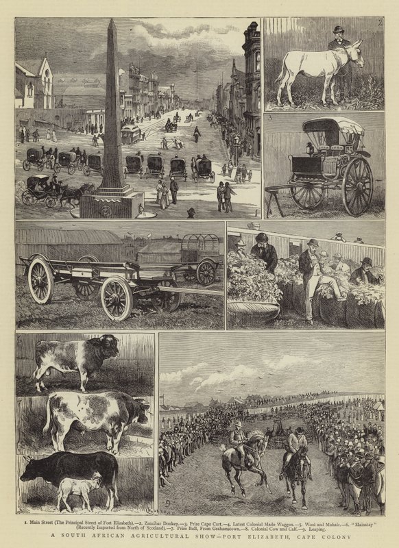 Une exposition agricole sud-africaine, Port Elizabeth, colonie du Cap - Alfred Chantrey Corbould
