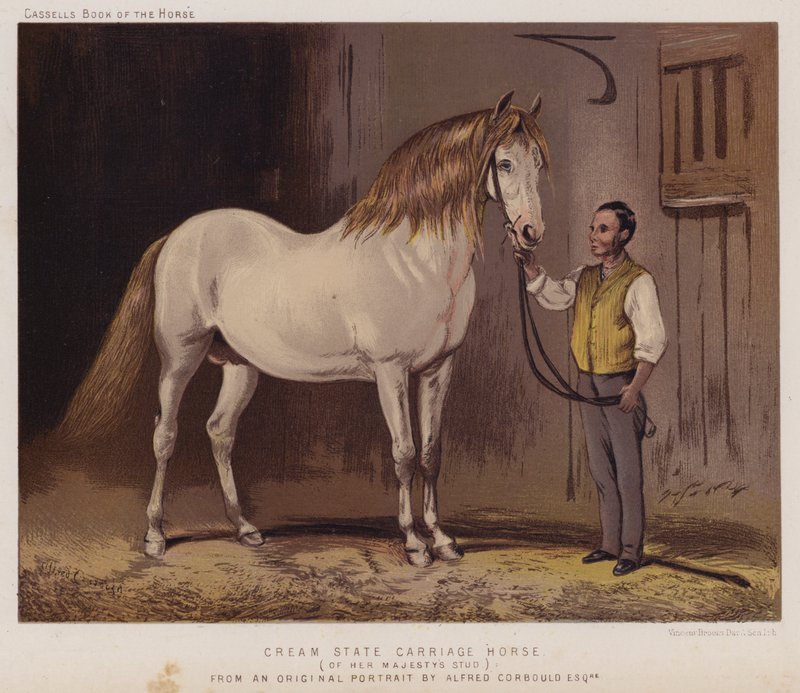 Cheval de Carrosse de l