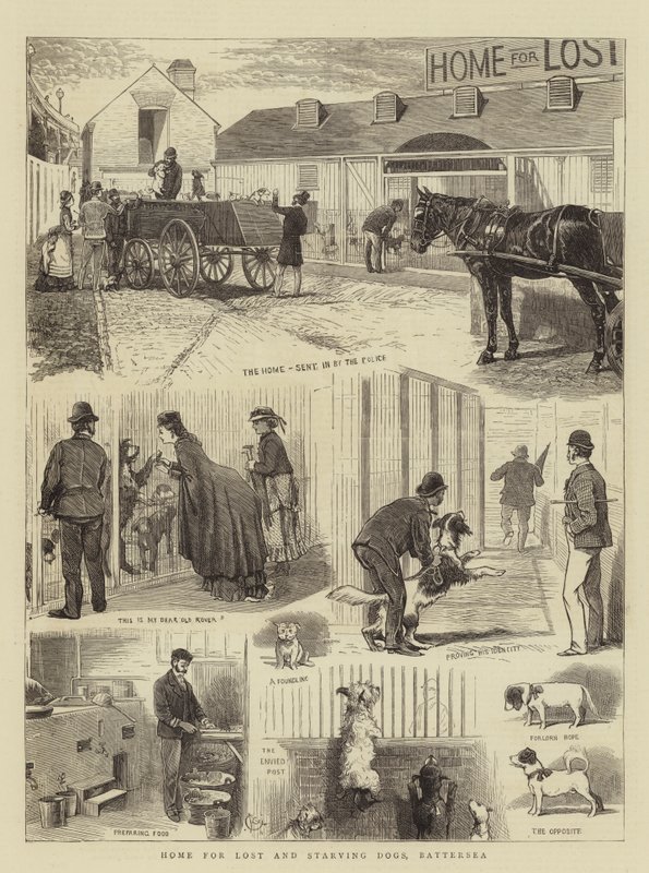 Maison pour chiens perdus et affamés, Battersea - Alfred Chantrey Corbould