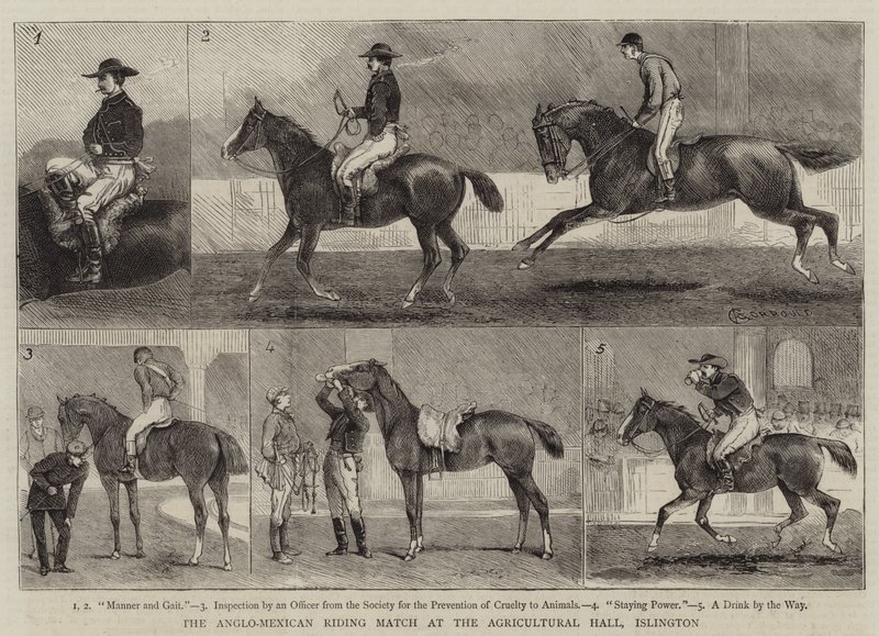 Le match équestre anglo-mexicain au Agricultural Hall, Islington - Alfred Chantrey Corbould