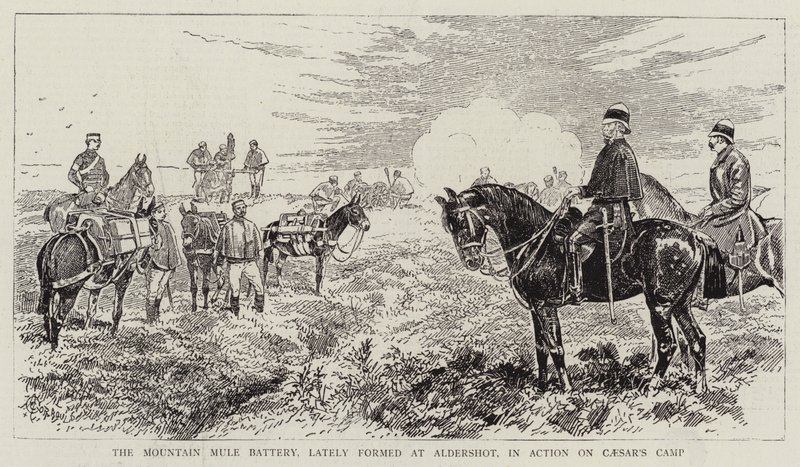 La batterie de mules de montagne, récemment formée à Aldershot, en action sur le camp de César - Alfred Chantrey Corbould
