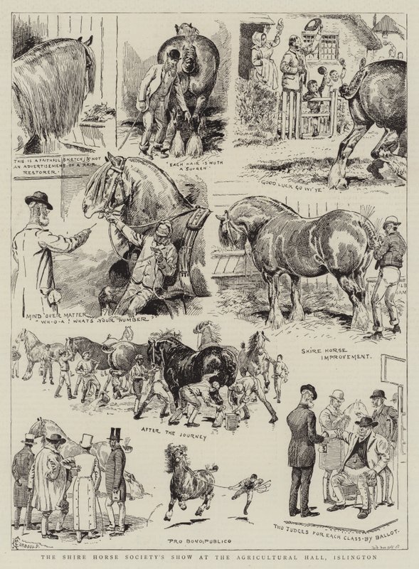 Exposition de la Société des Chevaux de Trait à l
