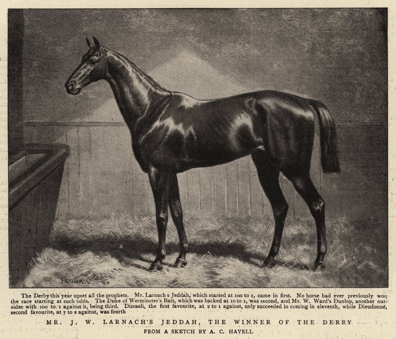 Mr J W Larnachs Jeddah, le gagnant du Derby - Alfred Charles Havell