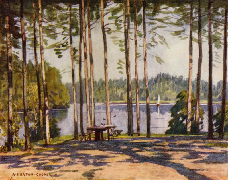Danemark : Gribscoven, Lac du Pavillon du Roi - Alfred Heaton Cooper
