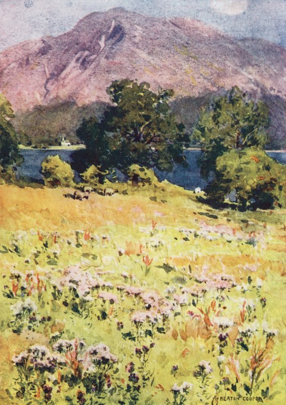 District des lacs : Bassenthwaite Lake et Skiddaw - Alfred Heaton Cooper