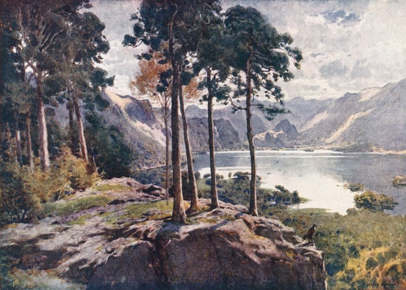 District des Lacs : Derwentwater, depuis Castle Head, un matin lumineux - Alfred Heaton Cooper