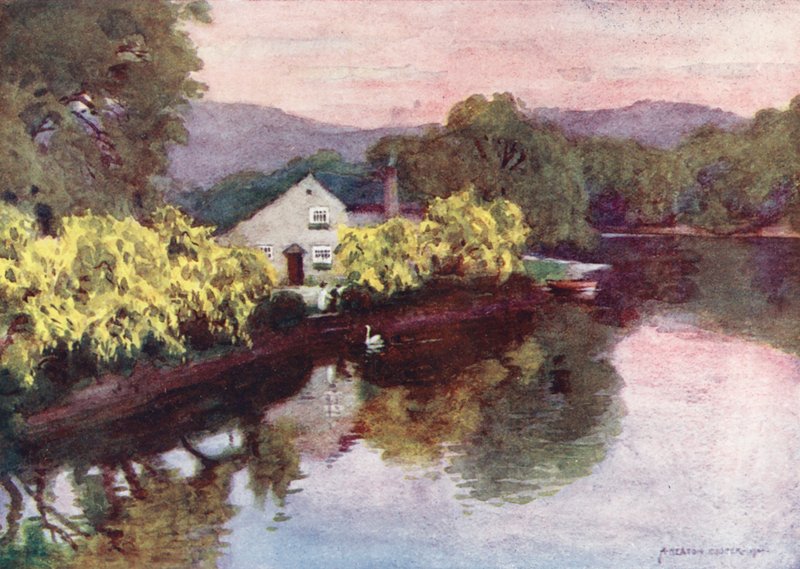 District des Lacs : Vieux laburnums à Newby Bridge, Windermere - Alfred Heaton Cooper