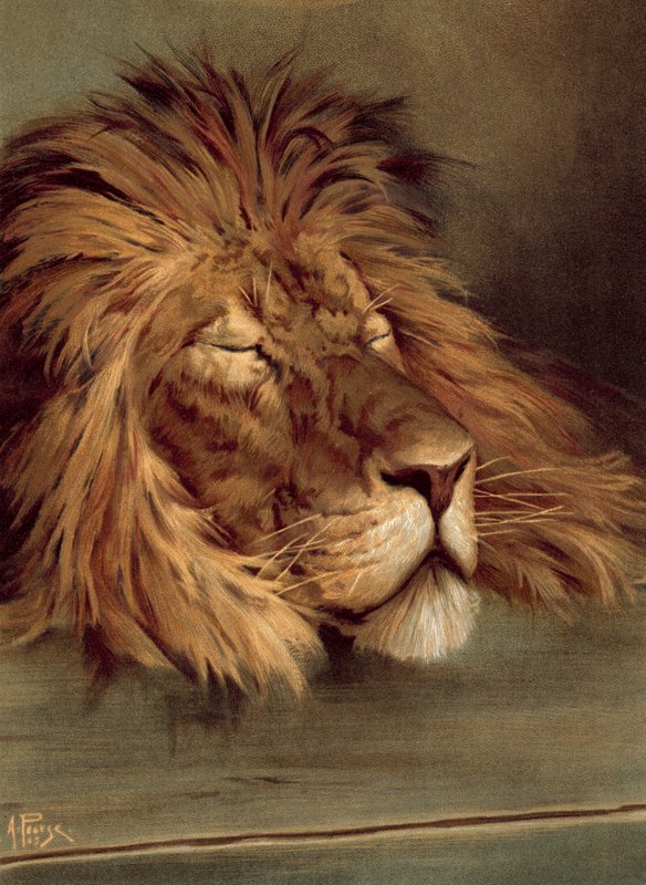 Le Lion britannique endormi - Alfred Pearse