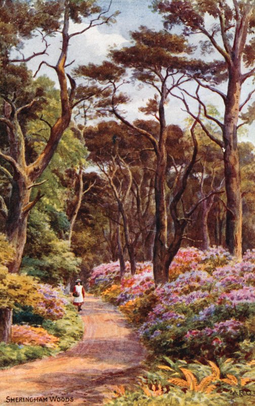 Bois de Sheringham - Alfred Robert Quinton