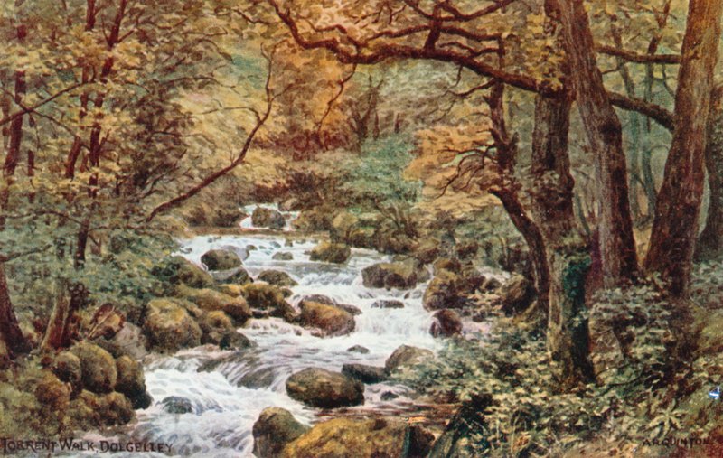Torrent Walk, Dolgelley - Alfred Robert Quinton