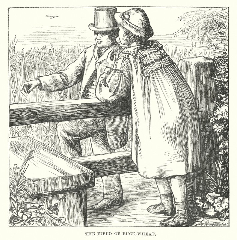  - Alfred Walter (after) Bayes