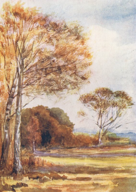New Forest : Below Park Hill, en regardant vers la ferme, octobre (lithographie couleur) - Alice Julia Argles