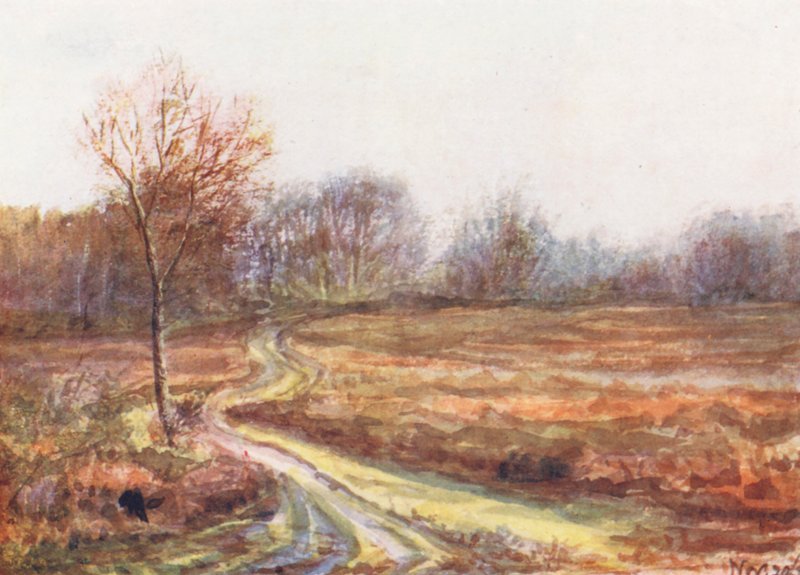 New Forest : Chemin de charrette sur la lande, fin novembre (lithographie couleur) - Alice Julia Argles