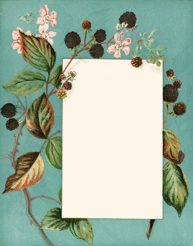 Septembre - Alicia Amy Leith