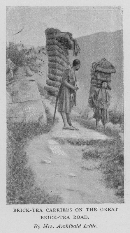Porteurs de thé en brique sur la grande route du thé en brique - Alicia Little