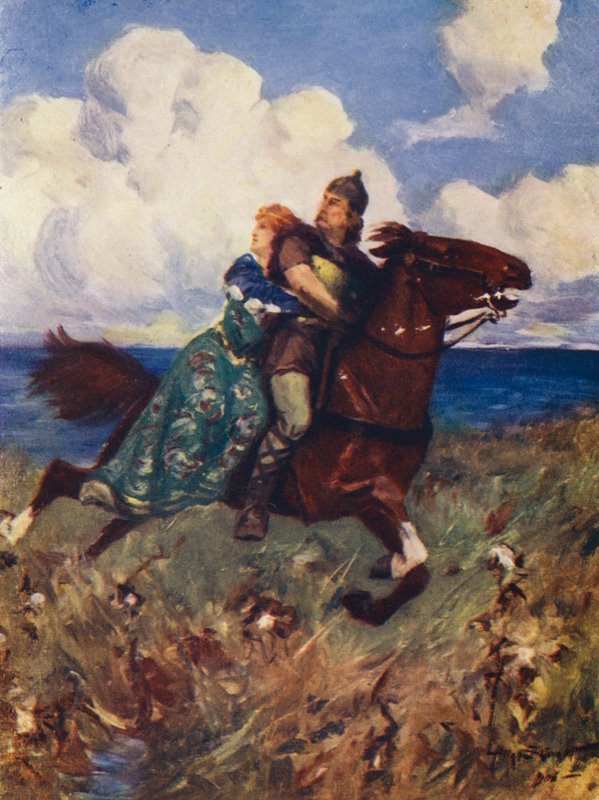 La Bataille des Oiseaux - Allan Stewart