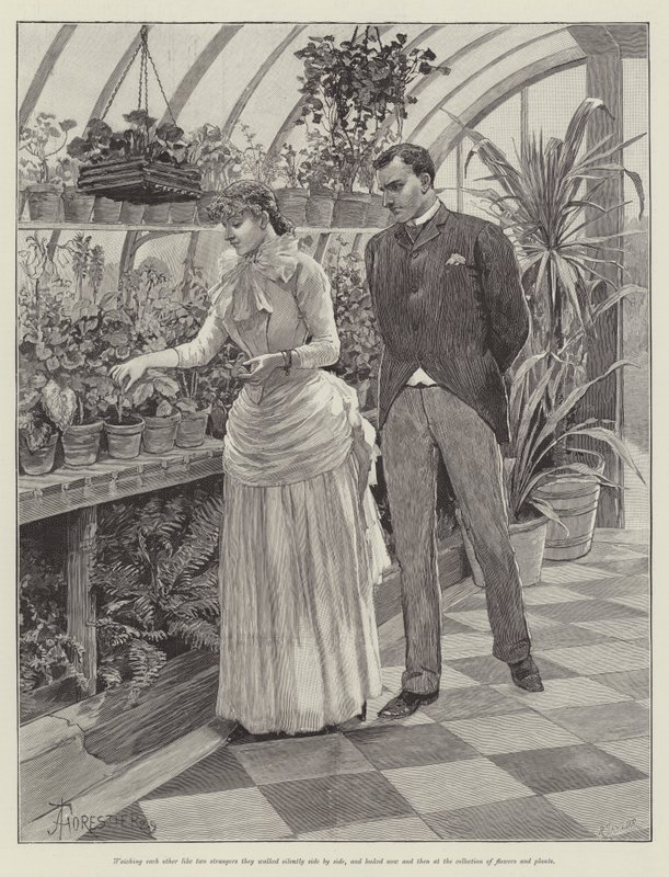Amour Aveugle, par Wilkie Collins - Amedee Forestier