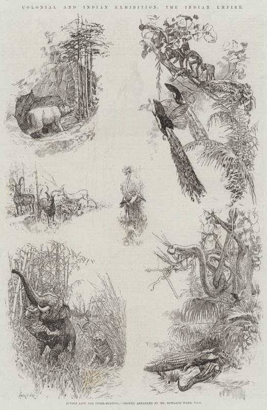 Exposition coloniale et indienne, l