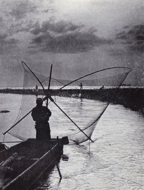 Un pêcheur japonais tirant son filet - American Photographer (after)