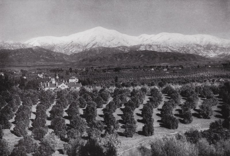 Californie : Redlands, depuis Smiley Heights, soleil, orangeraies et sommets enneigés - American Photographer (after)