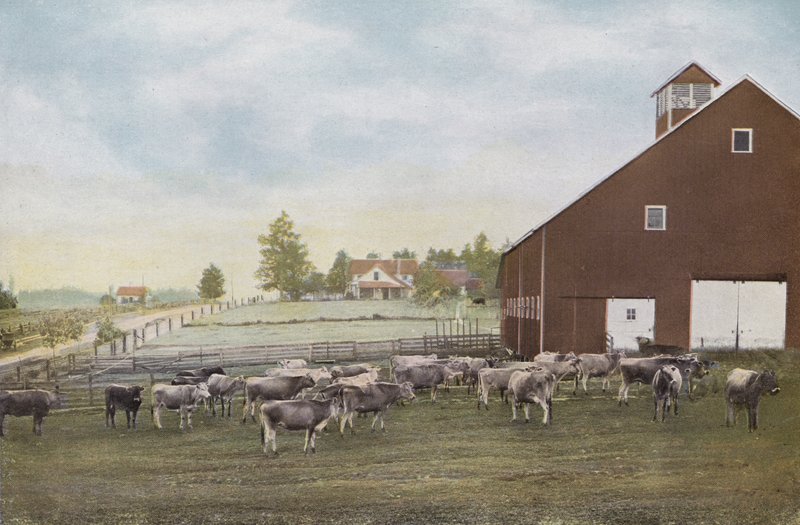 Oregon : Ferme laitière dans la vallée de Willamette - American Photographer (after)
