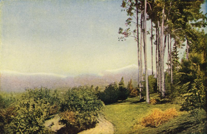 Paysage de Californie du Sud près de Redlands (photo couleur) - American Photographer
