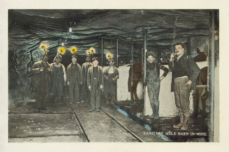 Mine de charbon américaine : Bâtiment sanitaire pour les mulets dans la mine (photo couleur) - American Photographer