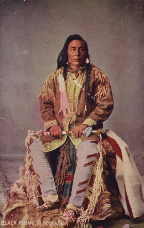 Black Plume, Blood Indian (photo) - American Photographer