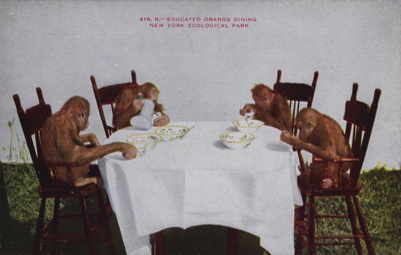 Dîner d