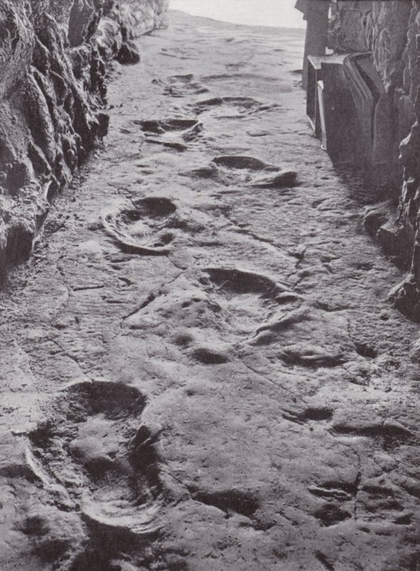 Empreintes fossilisées de mammouths, Carson City, Nevada, États-Unis (photo n/b) - American Photographer