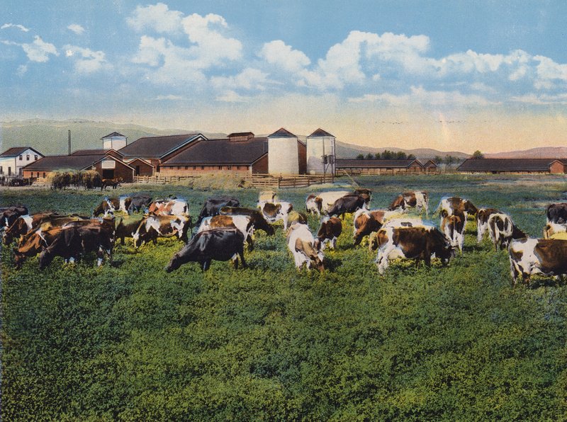 H R Timm Dairy, Dixon, Californie (photo couleur) - American Photographer