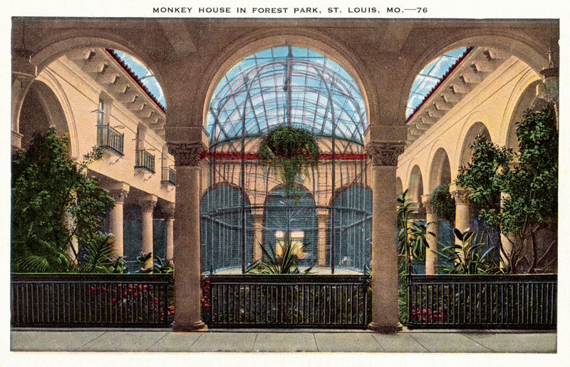 Maison des singes, Forest Park, St Louis, Missouri, États-Unis (photo couleur) - American Photographer