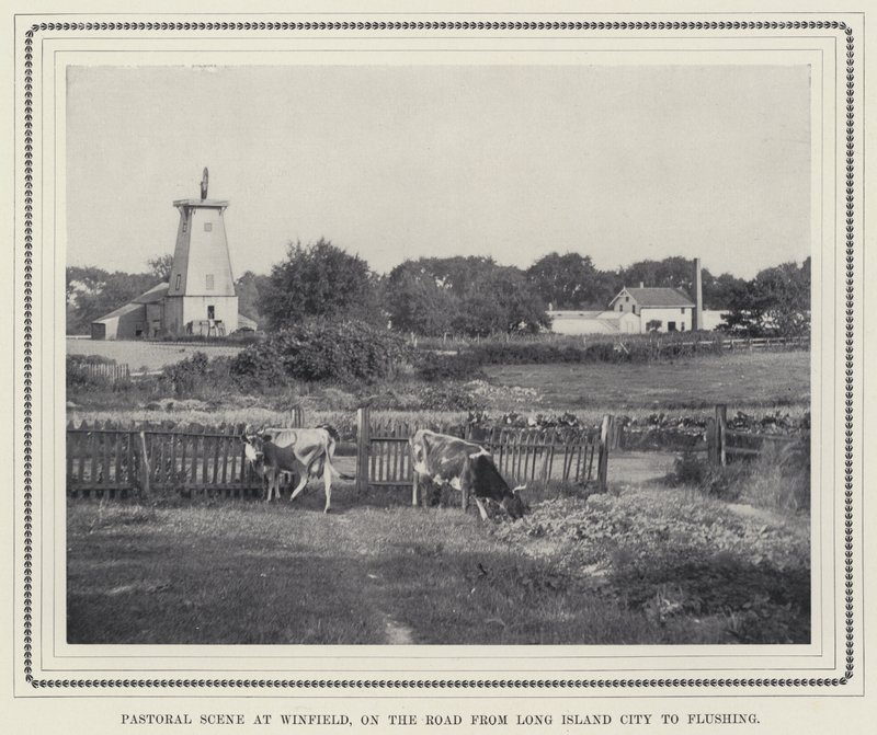 Scène pastorale à Winfield, sur la route de Long Island City à Flushing - American Photographer