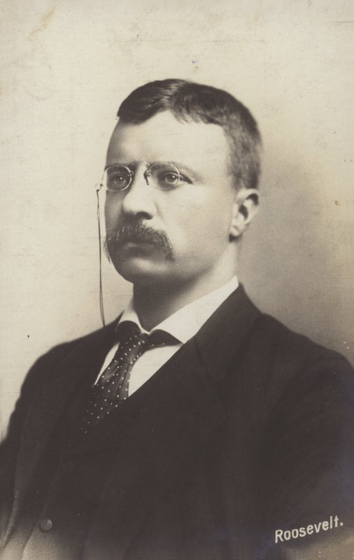 Roosevelt - American Photographer