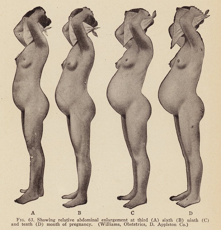 Signes et symptômes de la grossesse (photo n/b) - American Photographer