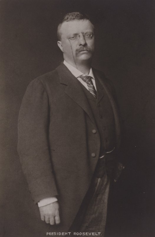 Theodore Roosevelt, 26e Président des États-Unis, 1904 - American Photographer