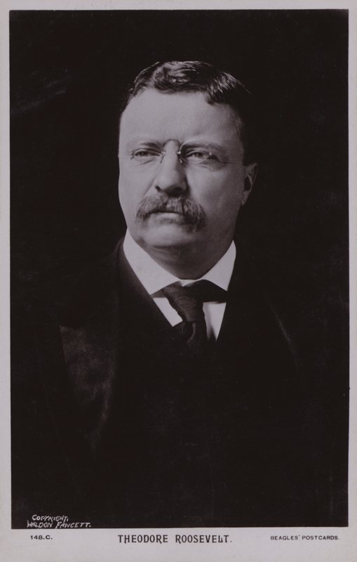Theodore Roosevelt, homme politique américain et 26e président des États-Unis (photo n/b) - American Photographer