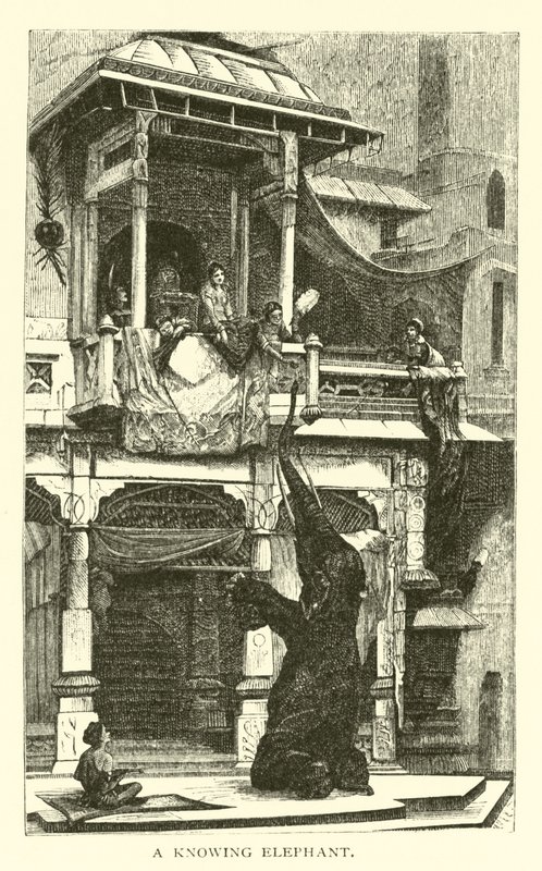 Un éléphant savant - American School