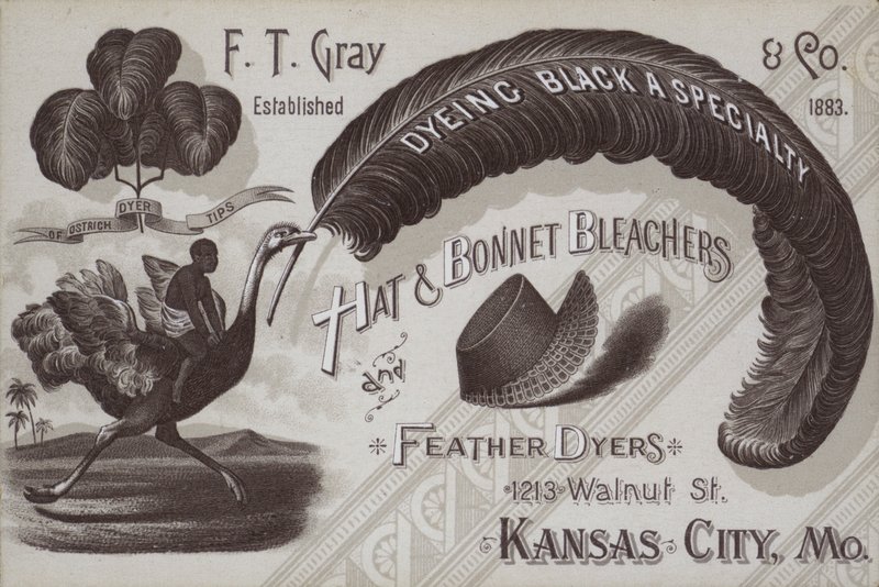 Publicité pour F T Gray, blanchisseurs de chapeaux et bonnets et teinturiers de plumes, Kansas City, Missouri, USA - American School