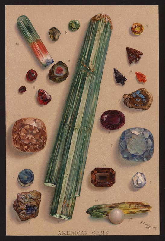 Gemmes américaines (lithographie couleur) - American School