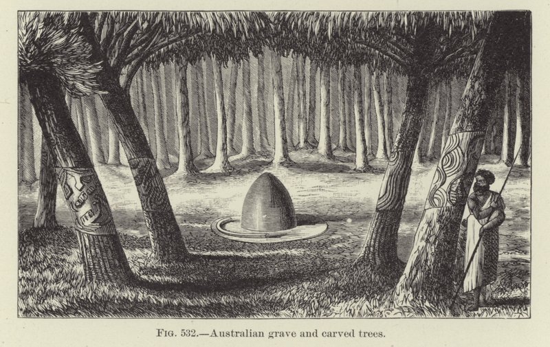 Tombe australienne et arbres sculptés - American School