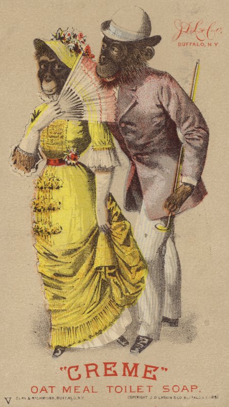 Chimpanzés en vêtements - American School