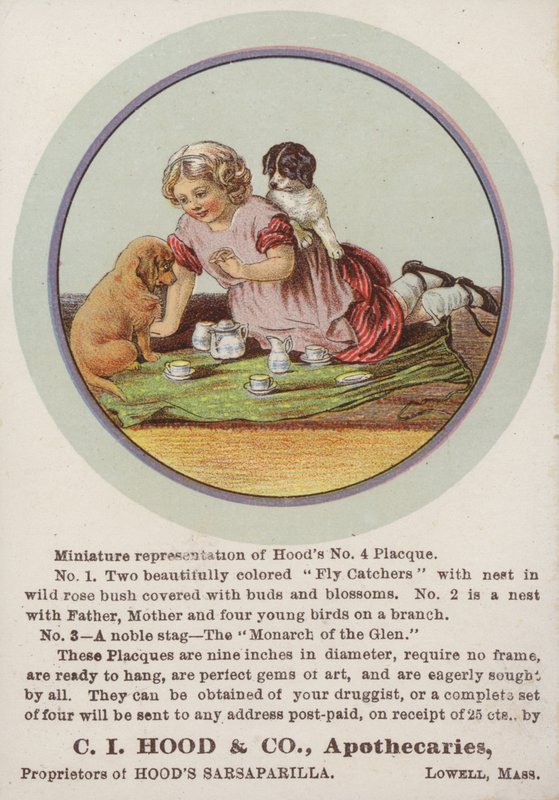 Fille assise sur une couverture avec des chiots - American School